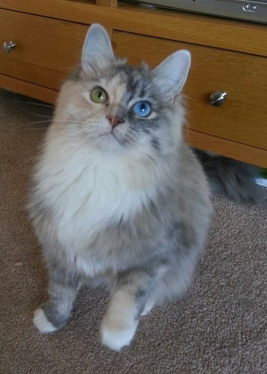 九游电竞资讯-_本周最佳比赛：华丽攻防展现极致技巧_，华丽攻击