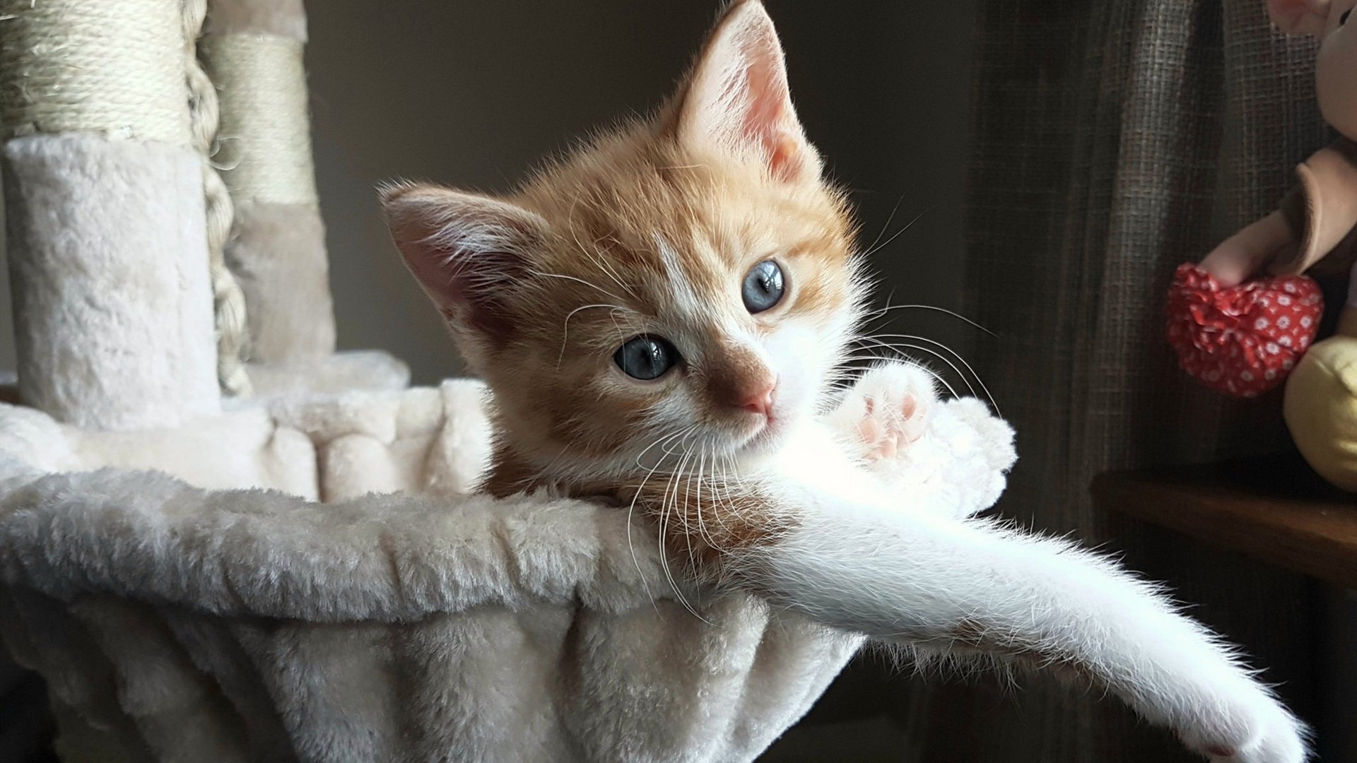 九游体育电竞-_本年度网球赛事回顾：那些令人难忘的瞬间_，网球赛事欣赏