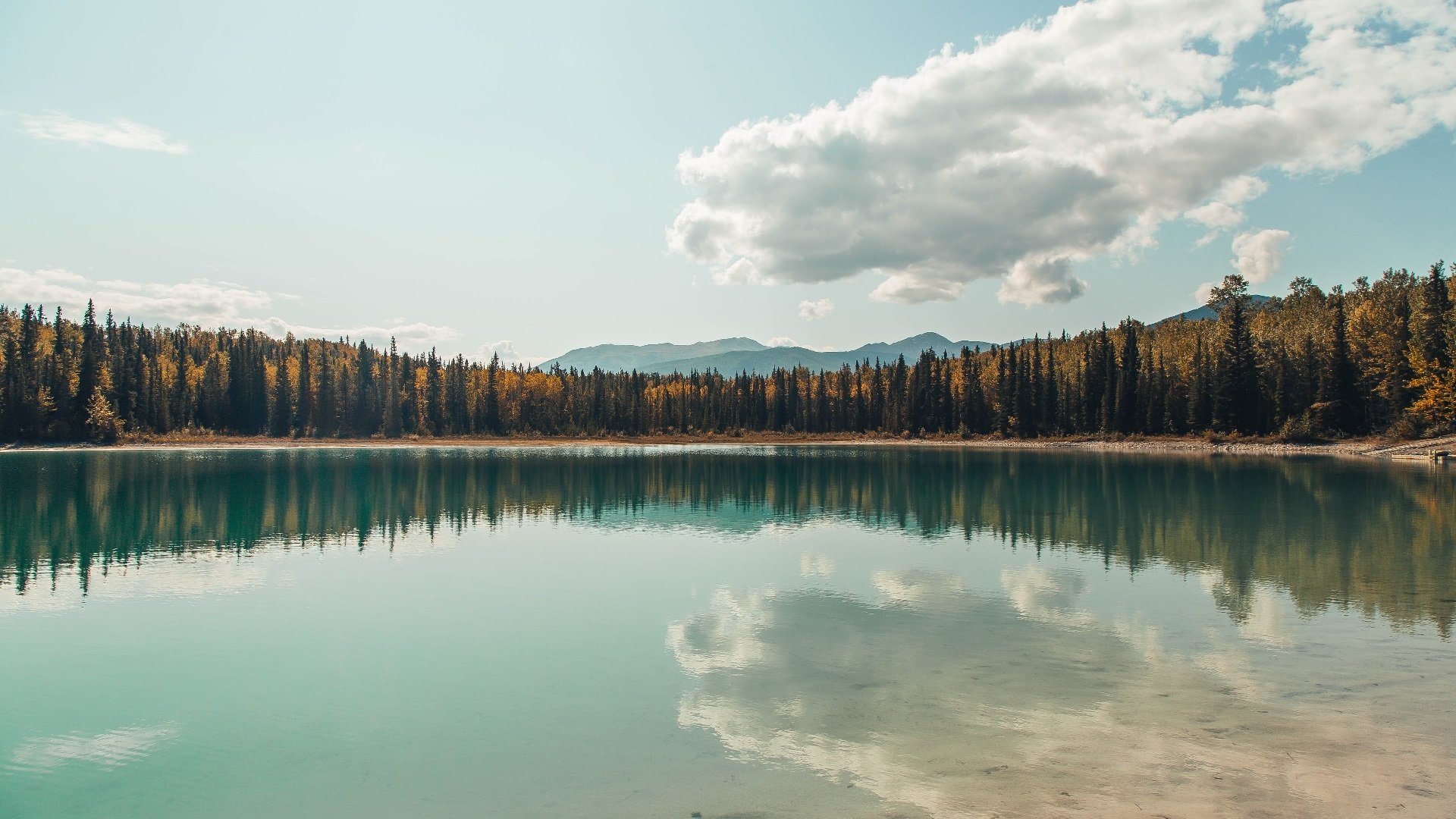 《精彩战队转会:多支顶级队伍阵容调整》,精彩来袭是什么意思