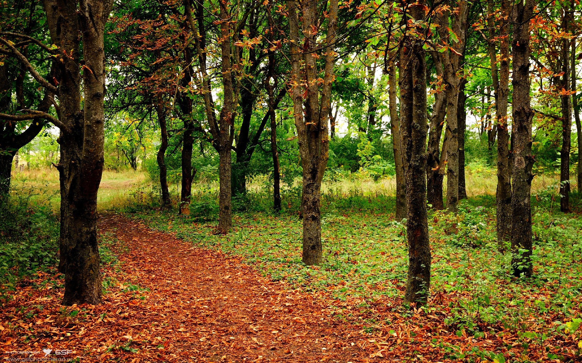 《精彩战队转会:多支顶级队伍阵容调整》,精彩来袭是什么意思
